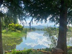 -翠湖宾馆·中餐厅