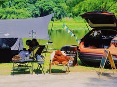 -南宁良凤江国家森林公园