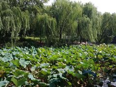 -绍兴鉴湖君澜大酒店