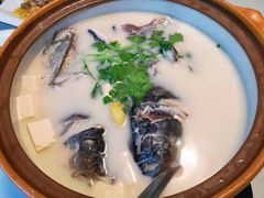 白汤有机鱼头-千岛湖小鱼儿·淳安匠心农家菜