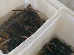 -夏家大锅台炖鱼馆