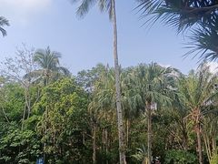 -七仙岭君澜度假酒店