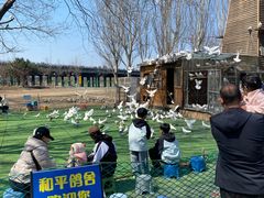 -长白岛森林公园
