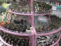 -KKV(深圳宏发大仟里店)