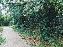 -青龙山国家森林公园