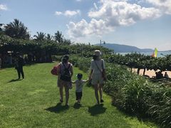 -三亚亚龙湾天域度假酒店