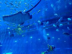 -华夏文旅海洋公园