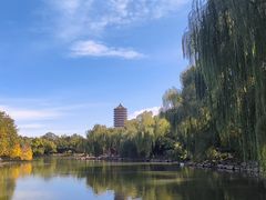 -北京大学