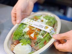 -油梨树AVOCADO TREE(顺义新国展店)