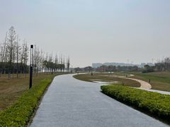 -春花秋色城市公园