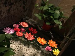 -泰和宫养生会馆(长江路店)