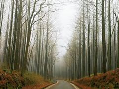 -山王坪喀斯特国家生态公园