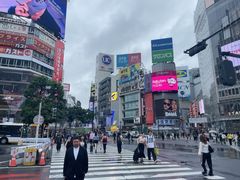 -涩谷全向十字路口