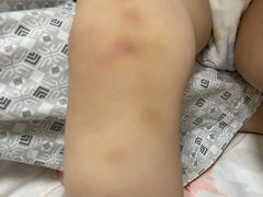 -杨浦科技幼稚园