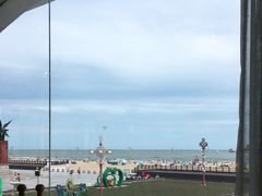 -港畔赶海蒸汽海鲜烧烤自助(仙螺岛店)