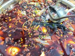 -黑竹香鸡(营和巷店)