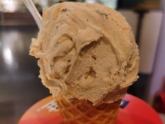 -野人牧坊Gelato(天津南开大悦城店)
