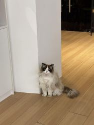 -Sugar苏格婚礼策划工作室