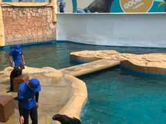 -秦皇岛乐岛海洋王国