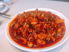 -志晖园圆子鸡·辣子鸡(阳光店)