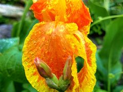 -国家植物园南园