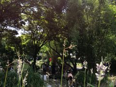 -成都市活水公园