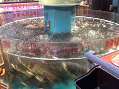 -魏铭鱼头捞饭(晋阳路店)