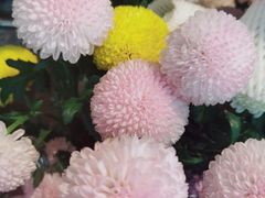 -爱尚幸福鲜花(上地实体店)