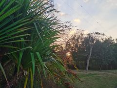 -福田红树林生态公园