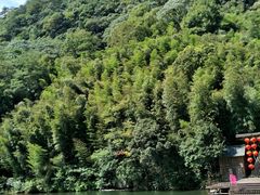 -石台牯牛降景区