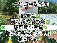 -大连森林动物园