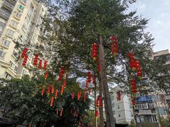 -深圳市罗湖体育馆
