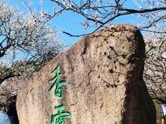-香雪海