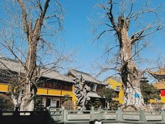 -圆通寺