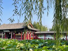 -济南大明湖景区