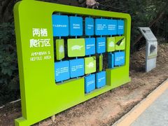 -广东惠东海龟国家级自然保护区