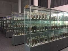 -中国药科大学（江宁校区）-图书馆