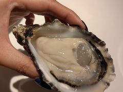 -Oyster Talks 四度蚝法餐厅