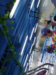 -子木乐园婴儿游泳馆(水晶港店)