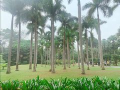 -中国科学院西双版纳热带植物园