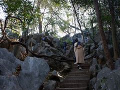 景点-灵隐飞来峰景区