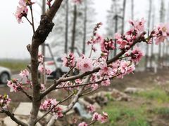 -广富林郊野公园