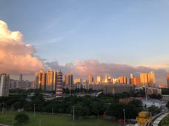 -小茶闲舍·观景商务茶馆(广州塔店)