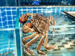 -焰江山海鲜牛排烤肉自助(锦华万达二星店)