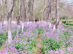 -白塘生态植物园