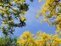 -永定河休闲森林公园