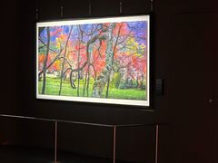 -罗红摄影艺术馆