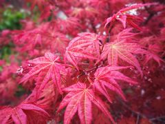 -龙口南山旅游景区