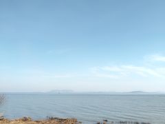 -贡湖湾湿地公园