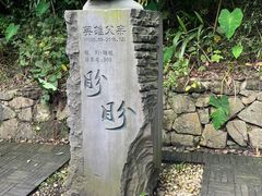 -都江堰中华大熊猫苑